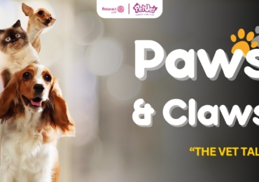 Paws & Claws – The Vet Talk